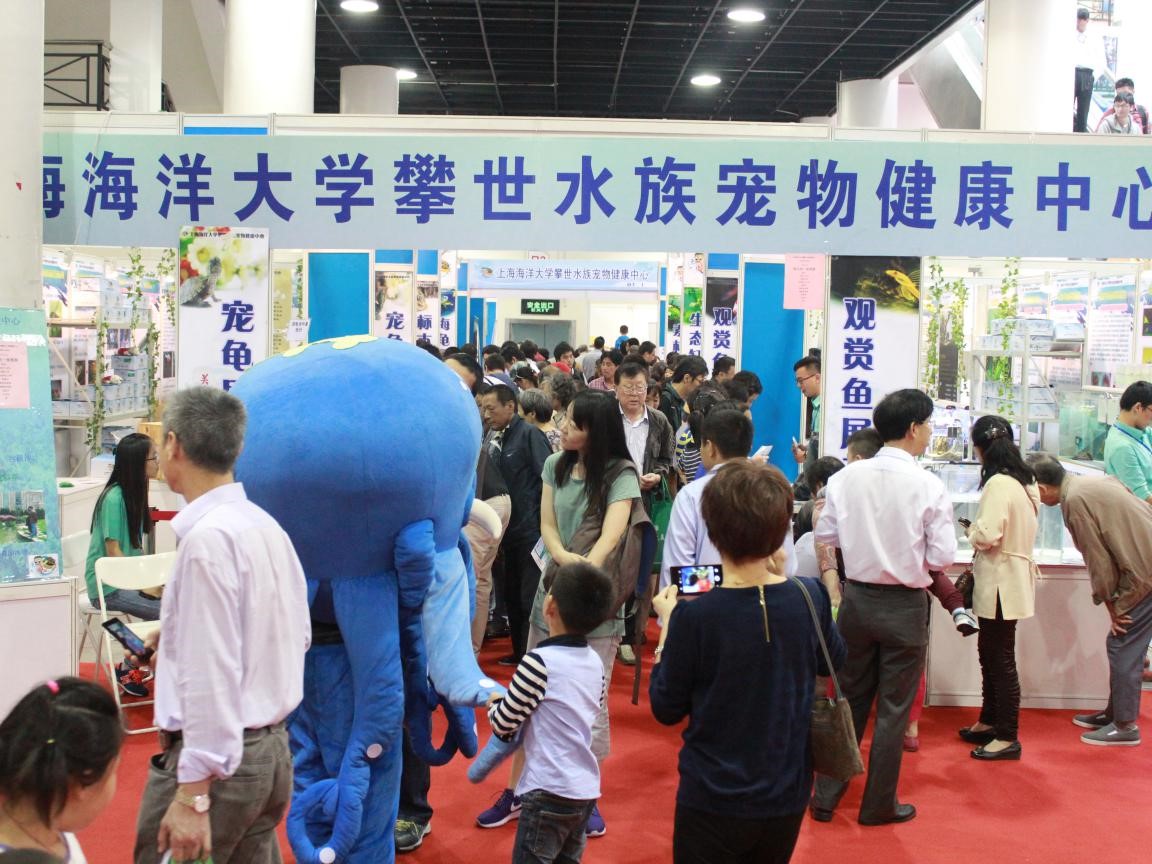 来上海五星体育攀世水族宠物健康中心参观的市民和水族爱好者络绎不绝