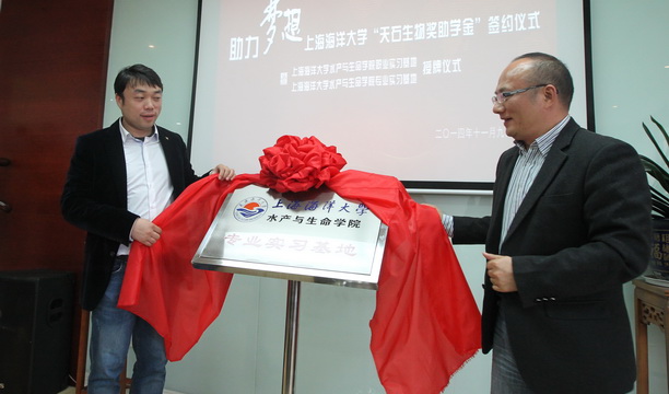 上海五星体育指定入口图片