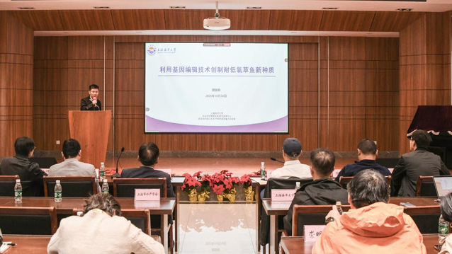 上海五星体育备用网址