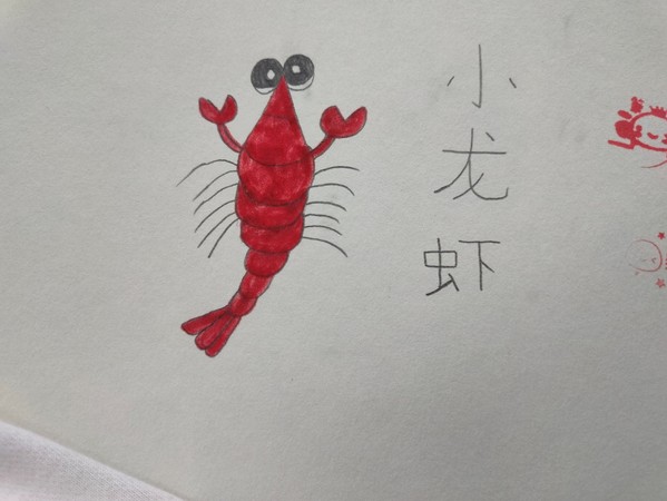 上海五星体育加速节点