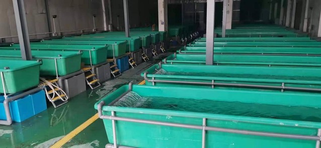 上海五星体育备用网址