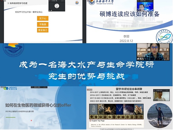 上海五星体育指定入口