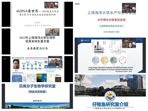 上海五星体育指定通道