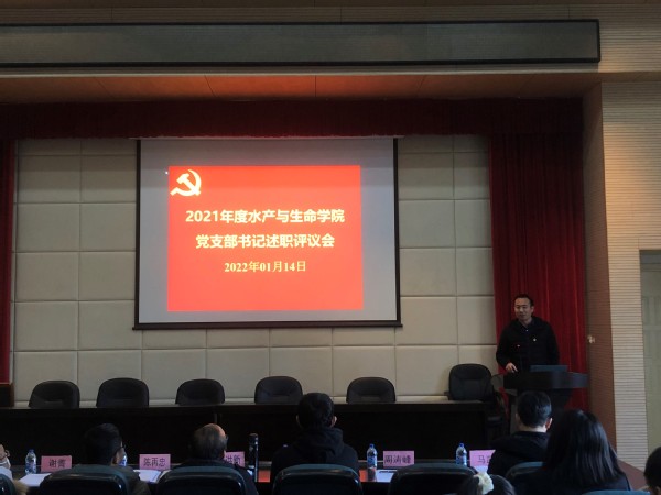上海五星体育指定通道