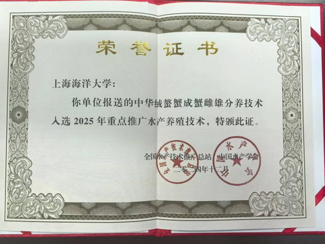 上海五星体育欧冠直播