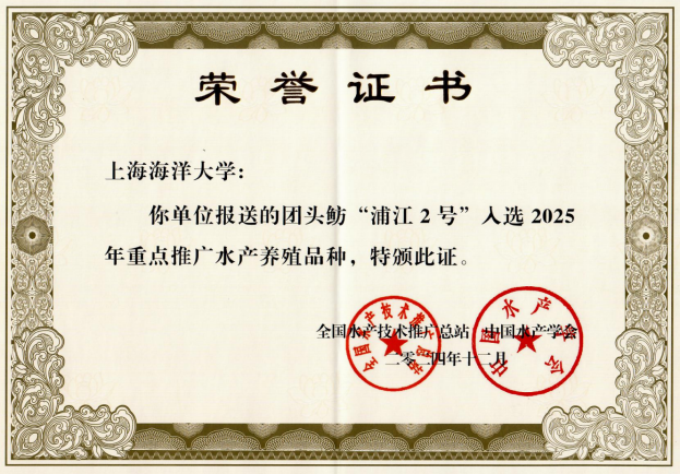 上海五星体育稳定线路