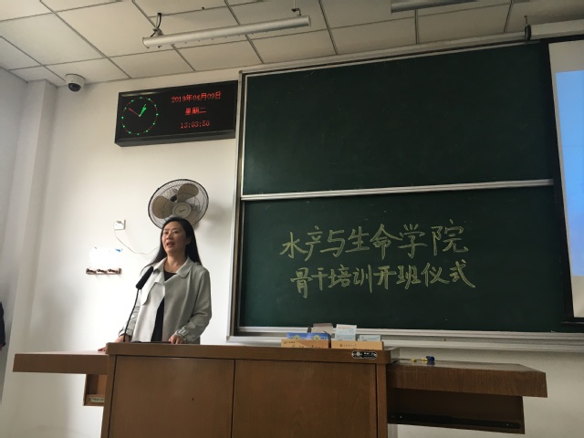 上海五星体育超级联赛