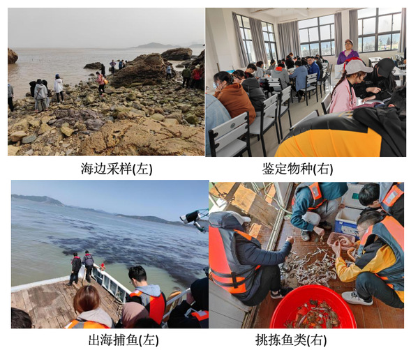 上海五星体育官方线路