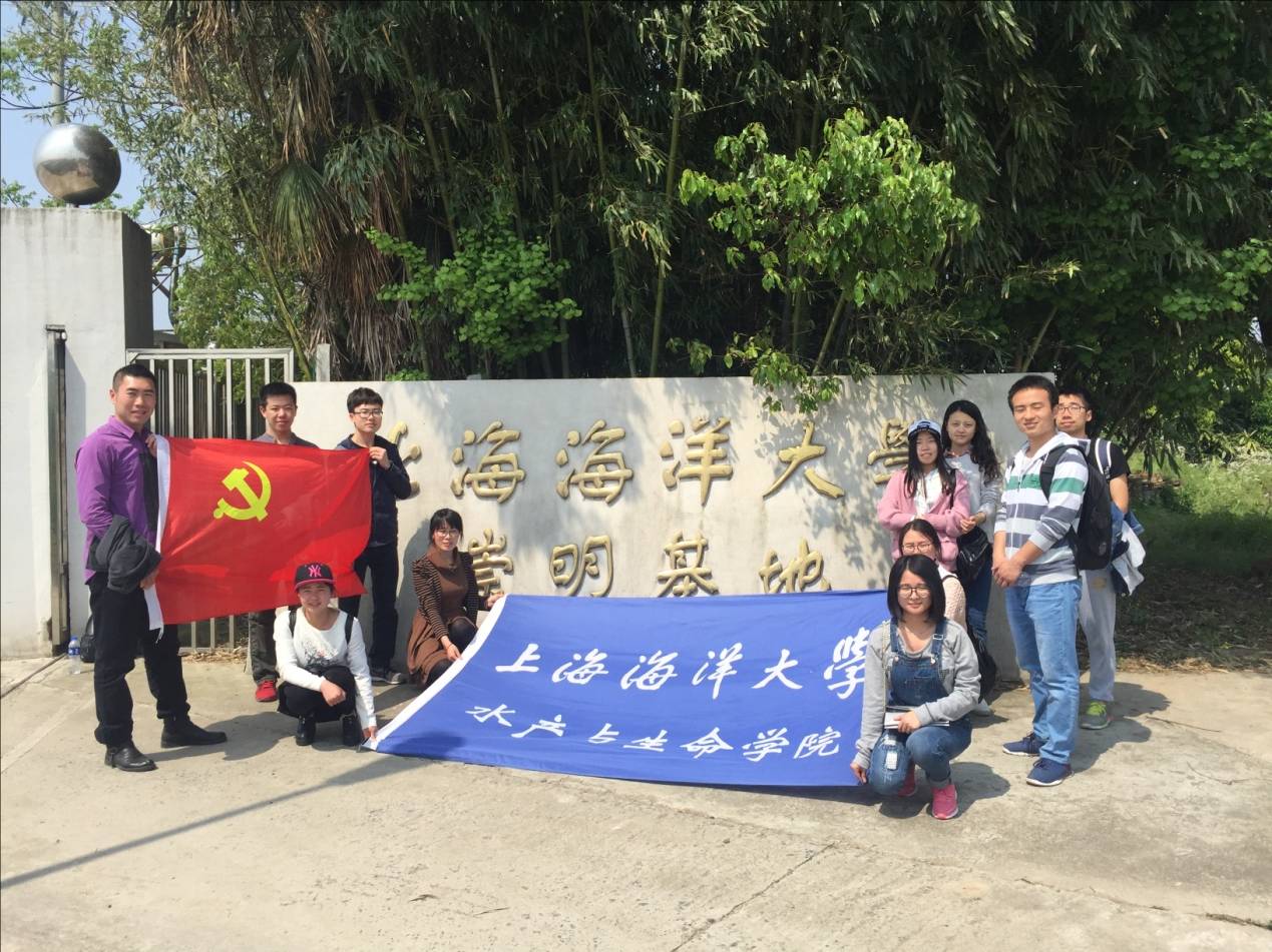 上海五星体育稳定线路