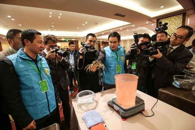 上海五星体育数据中心