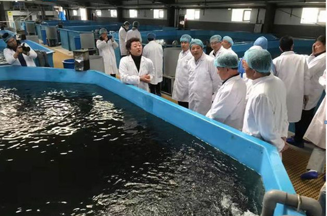 上海五星体育APP下载