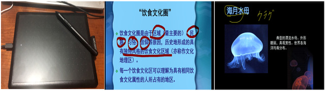 上海五星体育客户端
