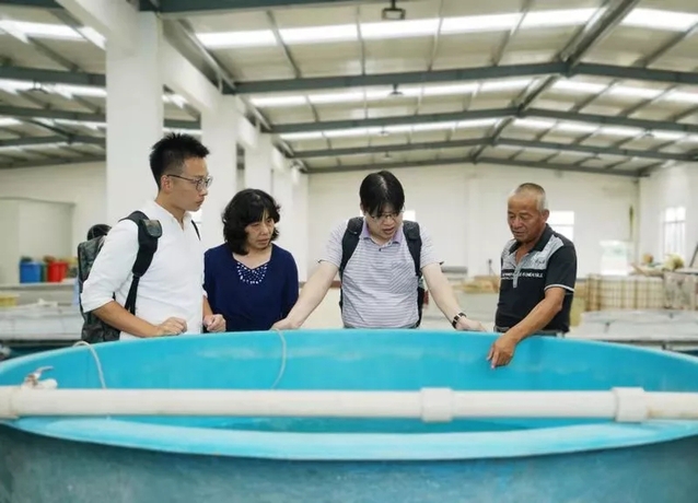 上海五星体育互联系统