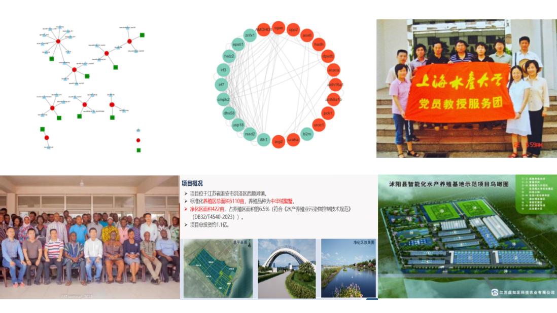 上海五星体育超级联赛