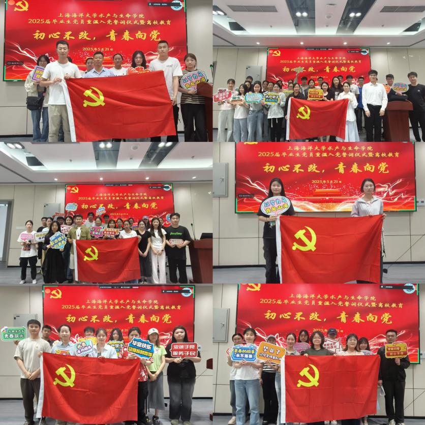 上海五星体育APP下载
