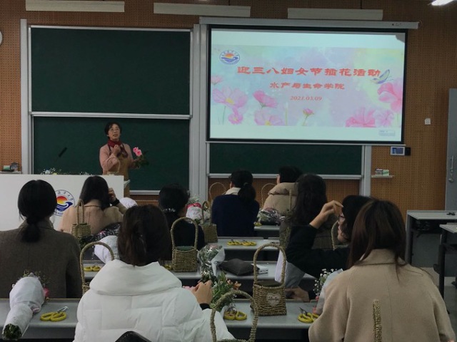 上海五星体育官方线路