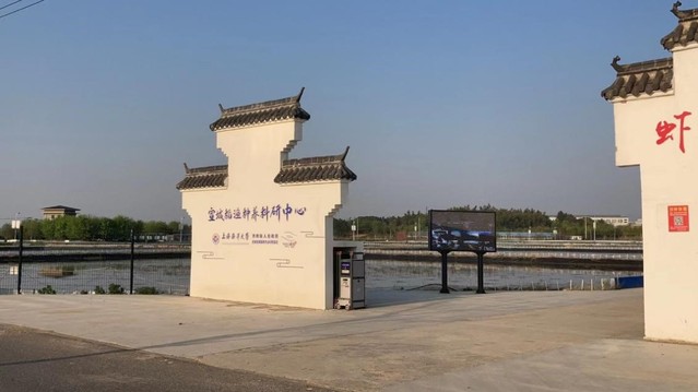 上海五星体育客户端