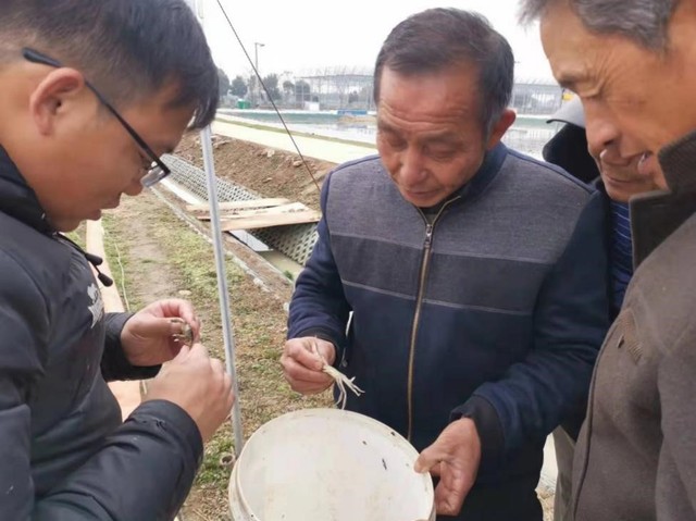 上海五星体育官方线路