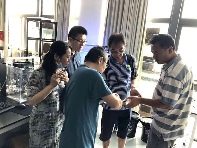 上海五星体育官方指定端