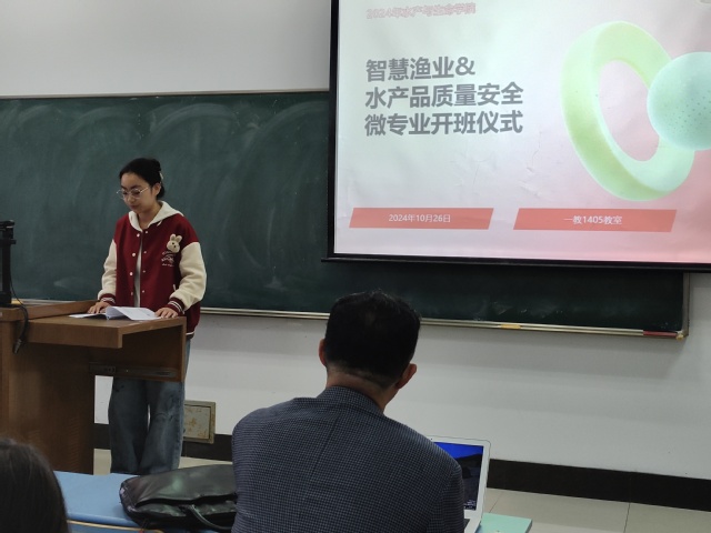 上海五星体育超级联赛