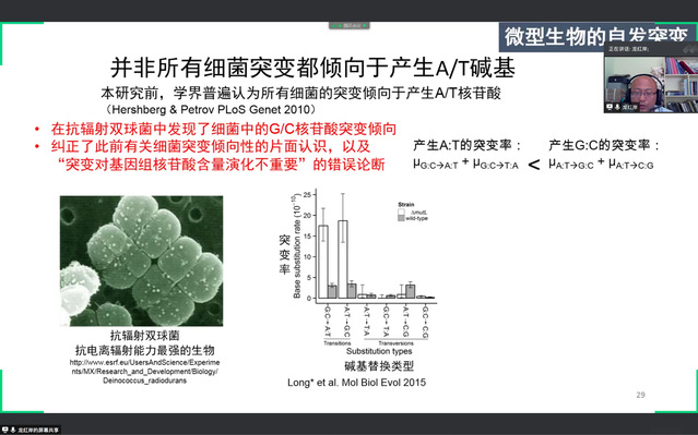 上海五星体育核心通道