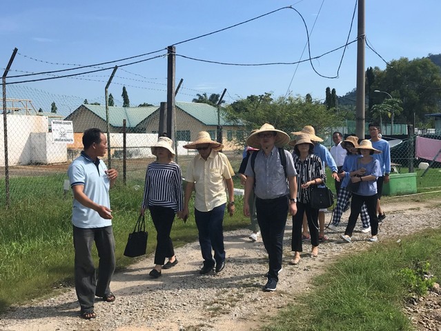 上海五星体育官方线路