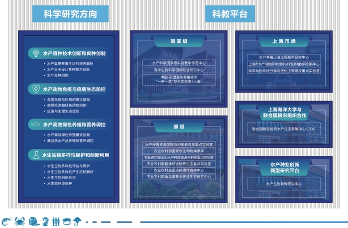 上海五星体育加速节点