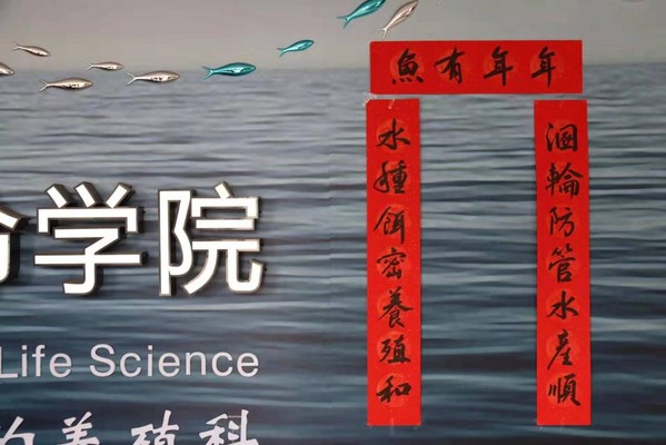 上海五星体育数据中心