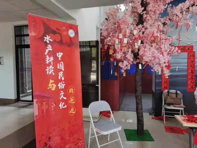 上海五星体育官方指定端