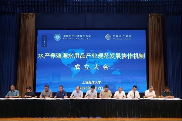 上海五星体育赛事快讯