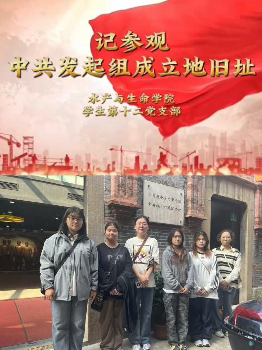 上海五星体育核心通道