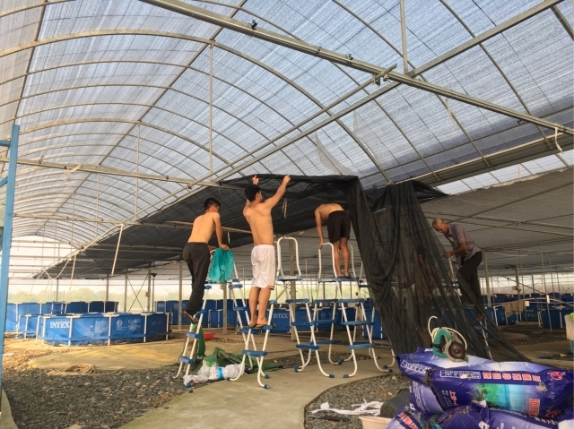 上海五星体育赛事快讯