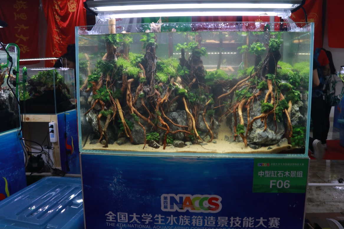 上海五星体育客户端