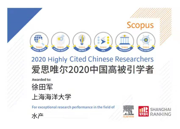 上海五星体育核心通道