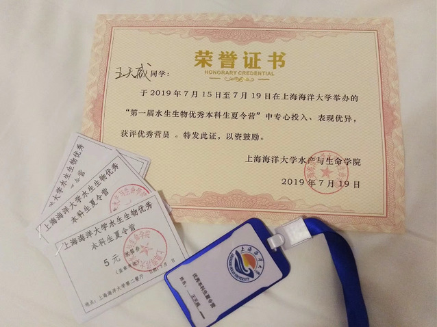 上海五星体育指定入口