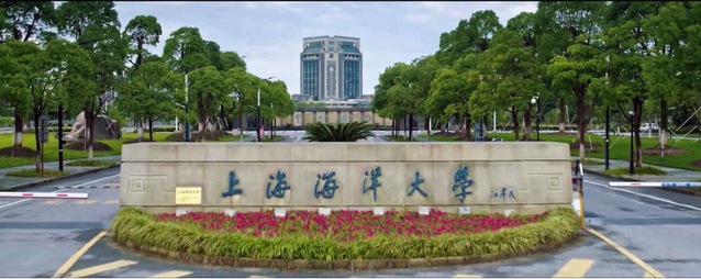 上海五星体育加速节点
