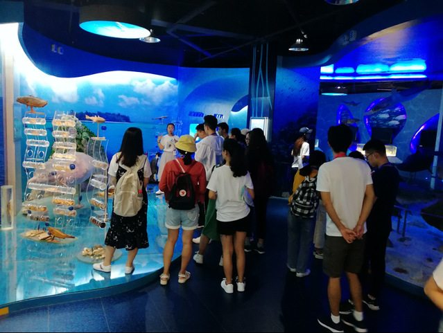 上海五星体育备用网址