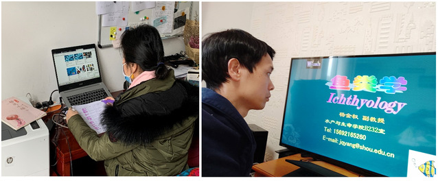 上海五星体育欧冠直播