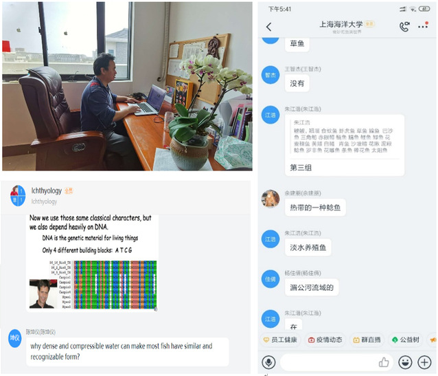 上海五星体育欧洲杯