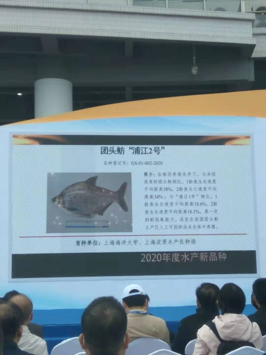 上海五星体育数据中心