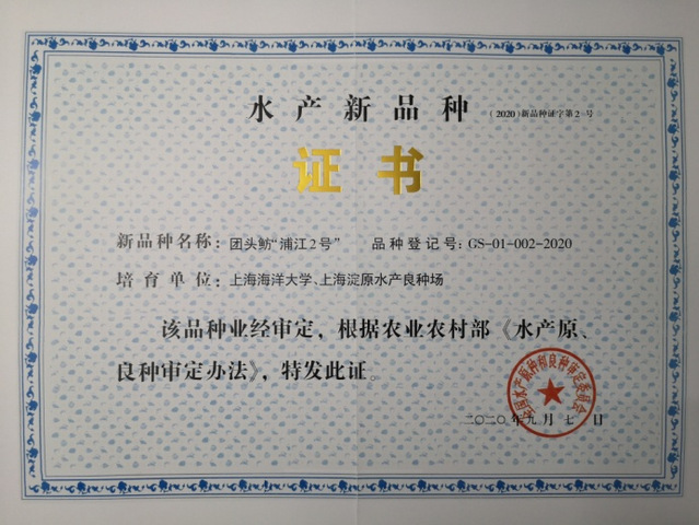 上海五星体育平台