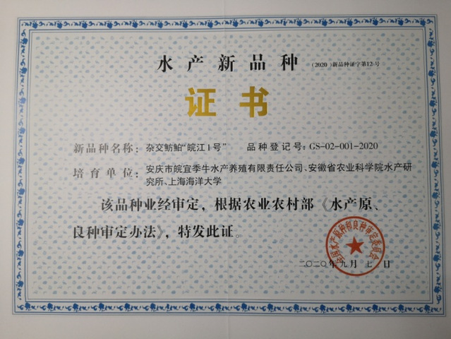 上海五星体育核心通道