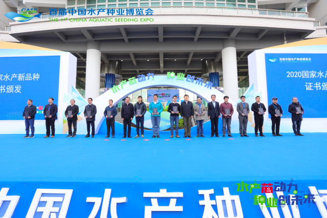 上海五星体育指定通道