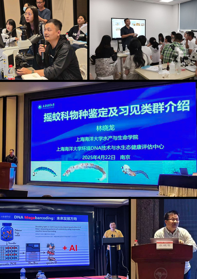 上海五星体育数据中心