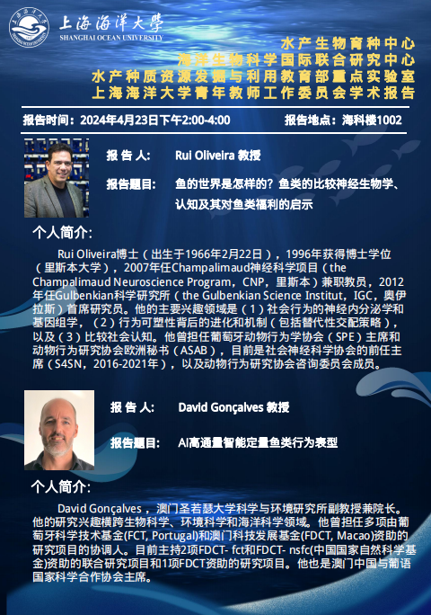 上海五星体育超级联赛