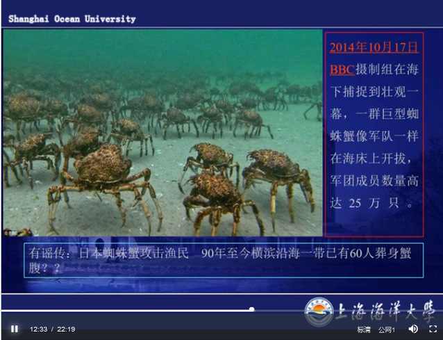 上海五星体育欧冠直播