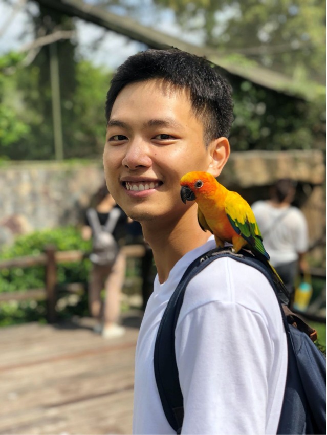 上海五星体育互联系统