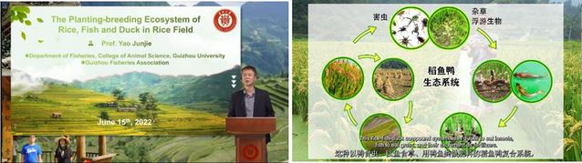 上海五星体育备用网址