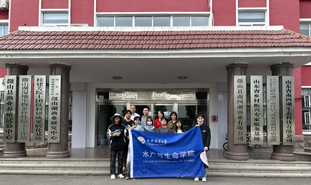 上海五星体育手机版