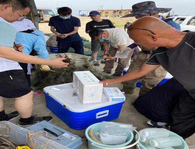 上海五星体育欧冠直播